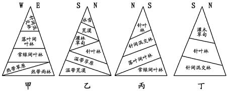 下图为"四地山地植被垂直分布示意图",甲地位于南半球