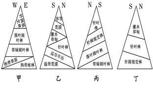 下图为"四地山地植被垂直分布示意图",甲地位于南半球