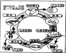 我国单位gdp能耗是日本的哆_水泥企业节能减排增效可否实现智能(2)