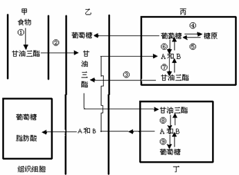 "回答有关人体代谢及调节的问题.(1)下图."习题详情