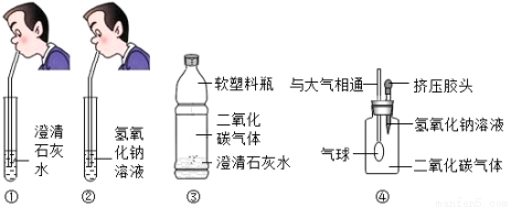 同学们在吹气后观察到①中澄清石灰水边浑浊,②中氢氧化钠溶液无明显