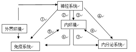 "(8分)如图表示内环境稳态的调节机制.请."习题详情