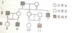 孟德尔遗传定律教案范文_孟德尔的遗传定律_孟德尔遗传定律教案范文