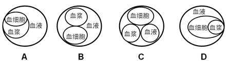 下图表示血液,血浆,血细胞三概念之间的关系,正确的是