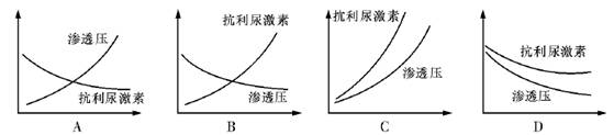 下列能表示调节过程血液中抗利尿激素和渗透压变化的曲线是(纵轴表示