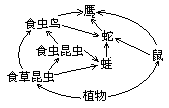 如图所示某生态系统的食物网,下列有关叙述不正确的是