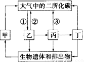 下图是生物圈中碳循环的示意图,下列有关叙述中不正确