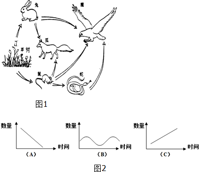 如图1为某生态系统的食物网简图,请据图完成下列各题