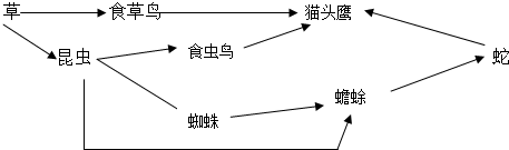 某些有害物质沿食物链积累知识点"某研究性学习小组选取学校附近鱼塘