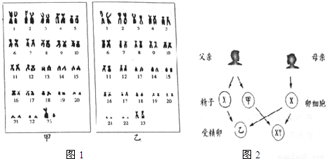 济南版生物八年级上学期