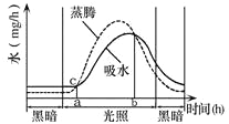 图中两曲线表示一天内光照和黑暗环境下吸水速率与蒸腾作用速率的变化