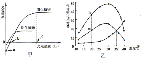 某植物净光合速率的变化趋势如图_真光合速率 净光合速率_某植物净光合速率的变化趋势如图