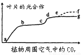 光合速率降低的原因_真光合速率 净光合速率_光合速率降低的原因