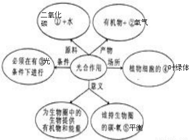 光合作用过程中的物质转化和能量转化知识点 "如图是光合作用概念图.