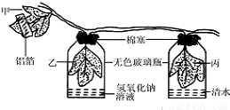 人口研究的意义_2014年城市规划师 城市规划原理 城市人口调查研究的意义(3)