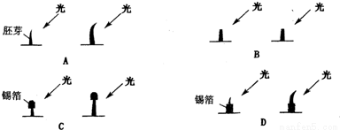 关于生态农业的探究的硕士学位毕业论文范文