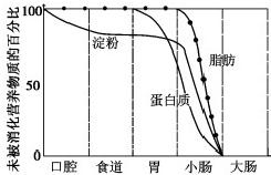 请据图判断:淀粉开始被消化的部位是