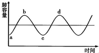 如图是人体在平静呼吸时肺内气体容量变化曲线,由b到c的过程表示