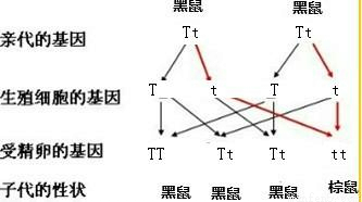 人口问题图表问题表现_在线求指导 下面图表说明(2)