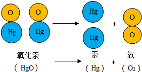 "习题详情 a. 氧化汞由氧原子和汞原子构成 b.