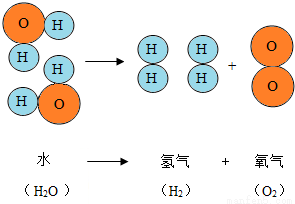 微粒观点及模型图的应用知识点 "下图是水分子分解示意图,从图中你能