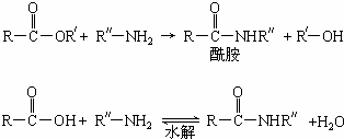 ②酯比酰胺容易水解.