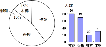 大小球必胜公式