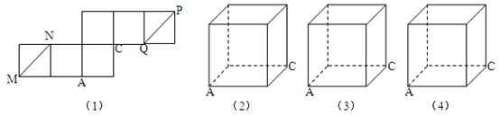 如图,图(1)是一个正方体的表面展开图,mn和pq是两条面