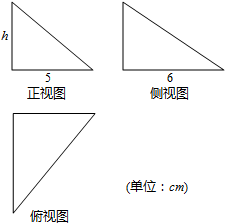 图中的三个直角三角形是一个体积为20cm  的几何体的三视图,则h=cm.