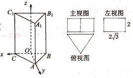 则这个正三棱柱的表面积为 (  )