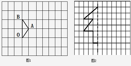 (1)在图1画出三角形aob绕点o使它顺时针旋转90度后的图形.