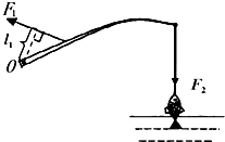 如图所示为钓鱼竿钓鱼的示意图,o为支点,f1表示手对竿