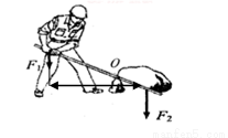 轮轴及其他常见简单机械知识点 "如图甲所示,o为杠杆的支点,试在图中