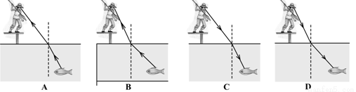 光的折射规律知识点 "有经验的渔民使用钢叉捕鱼时,钢叉要对准看.