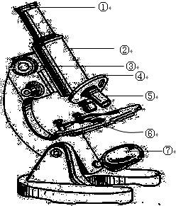 (7分)如图是显微镜的结构示意图,请根据图回答下面的问题.