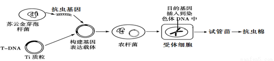 "习题详情  下图是用基因工程技术培育抗棉铃虫的转基因棉花过程,有关