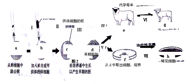 人口规律种类_人口普查(3)