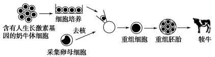 细胞增殖的方式是,此外,细胞增殖还表现出和接触抑制等特点