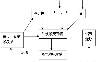 问"四位一体"生态农业是我国北方典型的生态农业模式,它以沼气为纽带