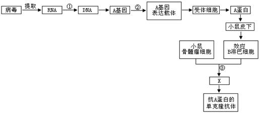 (4)对健康人进行该传染病免疫预防时,可选用图中基因工程生产的  所