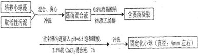 "习题详情