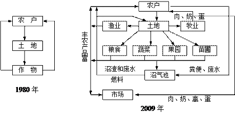 西部生态脆弱区产业结构演化及其生态环境效应—以新疆为例