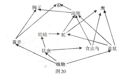 下图20是某草原生态系统的食物网简图,请据图回答.