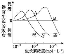 人口研究的意义_2014年城市规划师 城市规划原理 城市人口调查研究的意义