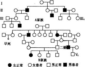 "下图示两个家族的遗传系谱图.两家族分别有."习题详情