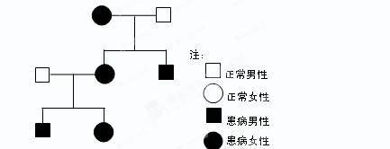 x染色体显性遗传病