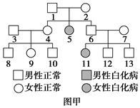 右图为人类某种遗传病的家族系谱图,6号和7号为同卵双生,即由同一个