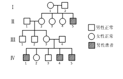 如图为杜氏肌营养不良(Ⅲ  不携带致病基因)的遗传系谱图.