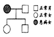 (3分)下图为某家族遗传系谱图,该家族患有苯丙酮尿症(a-a)和血友病(b