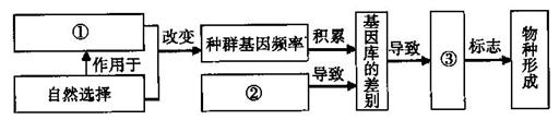 生物孟德尔遗传定律_孟德尔的遗传定律包括_孟德尔遗传定律教案范文